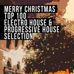 Merry Christmas Top 100 Electro House & Progressive House Selection by Various Artists album reviews, ratings, credits