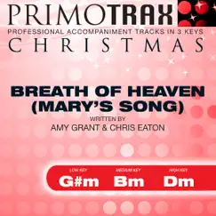 Breath of Heaven (Mary's Song) - (High Key - Dm) Performance Backing Track Song Lyrics