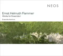 Ernst Helmuth Flammer: Works for Ensemble I by Ensemble Aventure & Christian Hommel album reviews, ratings, credits