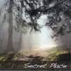 Secret Place (Backing Track) album lyrics, reviews, download