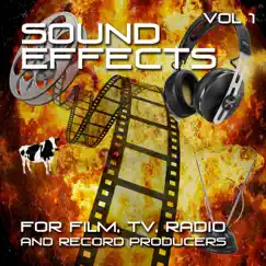Sound Effect for Film, Tv, Radio and Record Producers, Vol. 1 by Ministry Of Sound FX album reviews, ratings, credits