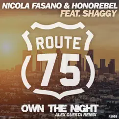 Own the Night (Alex Guesta Tribal Mix) - Single by Nicola Fasano, Honorebel & Shaggy album reviews, ratings, credits