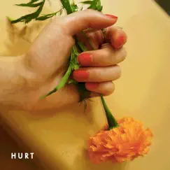 Hurt - Single by Sasha Alex Sloan album reviews, ratings, credits