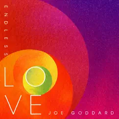 Endless Love by Joe Goddard album reviews, ratings, credits