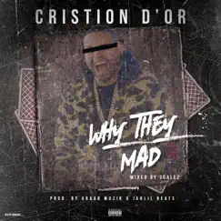 Why They Mad - Single by Cristion D'or album reviews, ratings, credits