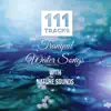 111 Tracks: Tranquil Water Songs with Nature Sounds: Healing Meditations, Music for Yoga, Reiki, Spa, Massage, New Age - Serenity Instrumental Music album lyrics, reviews, download