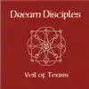 Veil of Tears - EP album lyrics, reviews, download