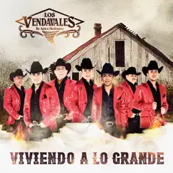 Viviendo a Lo Grande by Los Vendavales de Adán Meléndez album reviews, ratings, credits