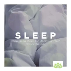 Sleep: Deep Sleep Music for Meditation With Nature Sounds, White Noise, Gentle Sound of Rain, Ocean Waves and Tranquil Music by Dzen Guru & Ambient album reviews, ratings, credits