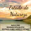 Estado de Natureza - Música para Massagem Especialistas Meditação Clube e Remédios Naturais album lyrics, reviews, download
