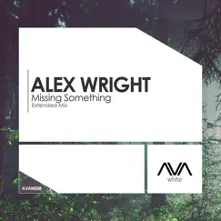 Missing Something (Extended Mix) Song Lyrics