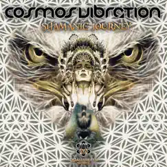 Shamanic Journey - Single by Cosmos Vibration album reviews, ratings, credits