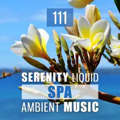 111 Serenity Liquid Spa Ambient Music: Oriental Zen Relaxation, Peace of Mind, Ultimate Wellness Center Sounds, Stress Relief, Tranquility Spa Massage by Various Artists album reviews, ratings, credits