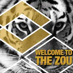 Welcome to the Zou - Single by NicDanger & DJ Beatz album reviews, ratings, credits