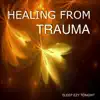 Healing from Trauma album lyrics, reviews, download