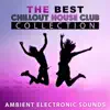 The Best Chillout House Club Collection: Ambient Electronic Sounds, Deep Chill Out, Beach Party, Easy Listening Music, Reduce Stress album lyrics, reviews, download