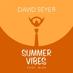 Summer Vibes (feat. Niza) - Single by David Seyer album reviews, ratings, credits