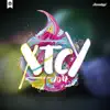 XTCY 2017 (Dengelåt) [feat. 40%60 & Luddfish] - Single album lyrics, reviews, download
