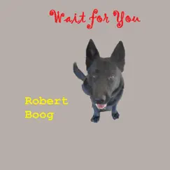 Wait for You - Single by Robert Boog & Chris Davidson album reviews, ratings, credits