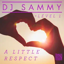 A Little Respect - Single by DJ Sammy & Level 1 album reviews, ratings, credits