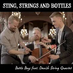 Sting, Strings and Bottles Song Lyrics