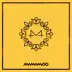Yellow Flower album cover