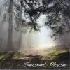 Secret Place album lyrics, reviews, download