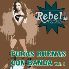 Puras Buenas Con Banda, Vol. 1 by Various Artists album reviews, ratings, credits