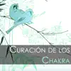 Curación de los Chakra - Mejor Música de Meditación para Sanar el Alma, Hatha Yoga Kundalini album lyrics, reviews, download