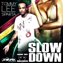 Slow Down - Single by Tommy Lee Sparta album reviews, ratings, credits