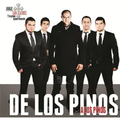 De Los Pinos a Los Pinos by Jorge Santacruz Y Su Grupo Quinto Elemento album reviews, ratings, credits