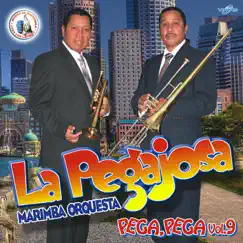 Mix Pegajoso 17: La Medallita / Que Te la Pongo / La Bolita / Mil Horas / La Parabólica Song Lyrics