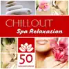 Chillout Spa Relaxation – 50 Wellness Music for Zen Shiatsu Massage and Reflexology album lyrics, reviews, download