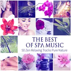 The Best of Spa Music: 50 Relaxing Tracks Pure Nature, Healing, Inner Peace, Total Relaxation, Ultimate Wellness Center Sounds, Sleep & Massage by Tranquility Spa Universe album reviews, ratings, credits