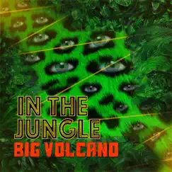 In the Jungle - Single by Big Volcano album reviews, ratings, credits