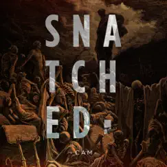 Snatched - Single by Cam album reviews, ratings, credits