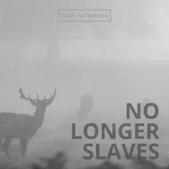 No Longer Slaves (Acoustic) - Single by Cody Patterson album reviews, ratings, credits