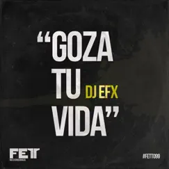 Goza Tu Vida - Single by DJ EFX album reviews, ratings, credits