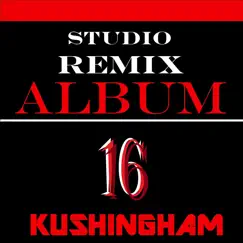 Studio Remix Album 16 by Kushingham Productions album reviews, ratings, credits