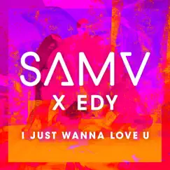 I Just Wanna Love U (Remix) Song Lyrics