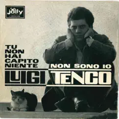 Tu non hai capito niente / Non sono io - Single by Luigi Tenco album reviews, ratings, credits