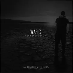 Perdido - Single by Wafic album reviews, ratings, credits