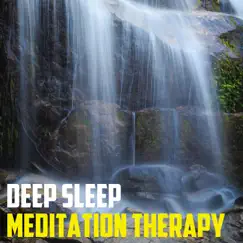 Deep Sleep Meditation (Calming Rain & Peaceful Sounds) by Deep Sleep Meditation Therapy album reviews, ratings, credits