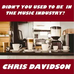 Didn't You Used to Be in the Music Industry? - Single by Chris Davidson album reviews, ratings, credits