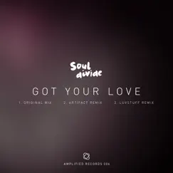 Got Your Love (Artifact Remix) Song Lyrics