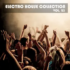 Electro House Collection, Vol. 23 by Royal Music Paris album reviews, ratings, credits