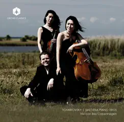 Tchaikovsky & Smetana: Piano Trios by Trio con Brio Copenhagen album reviews, ratings, credits