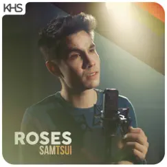 Roses - Single by Sam Tsui album reviews, ratings, credits