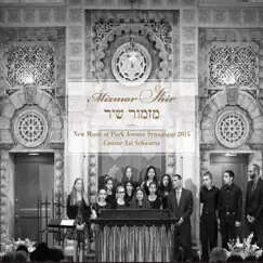 Mizmor Shir: New Music At Park Avenue Synagogue 2015 by Cantor Azi Schwartz album reviews, ratings, credits