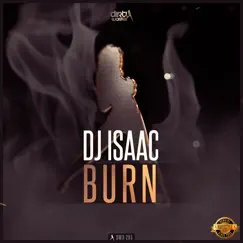 Burn (Radio Version) Song Lyrics